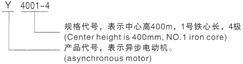 西安泰富西玛Y系列(H355-1000)高压JR500M-6三相异步电机型号说明